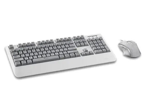 [00246]  Rapoo V110 Backlit Gaming Keyboard & Optical Gaming Mouse Gaming Combo